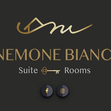 Finestra Sull'Adamello Apartman Passo del Tonale Kültér fotó
